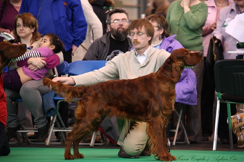 Crufts2011 199.jpg